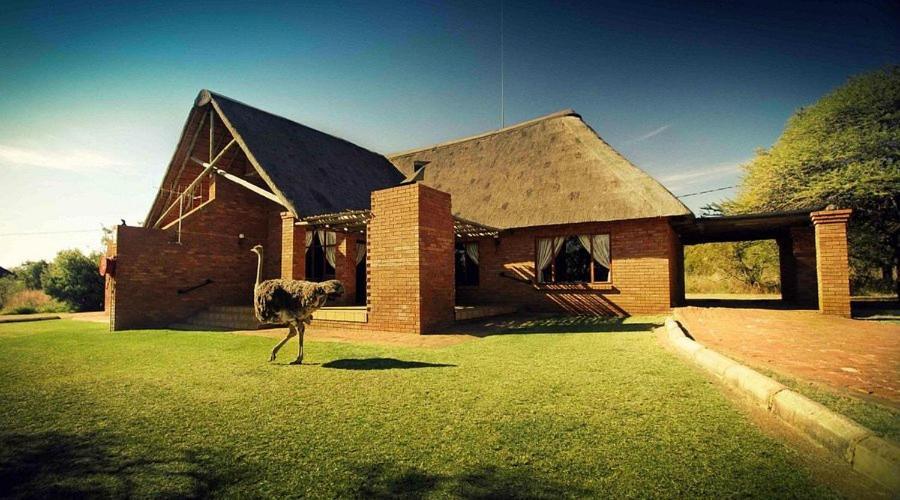 Monateng Safari Lodge Wallmannstal Exterior foto